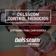 Delsscom® Software para Punto de Venta Control Negocios 2024 (Servidor)