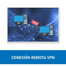 Delsscom® Conexión VPN Punto a Punto